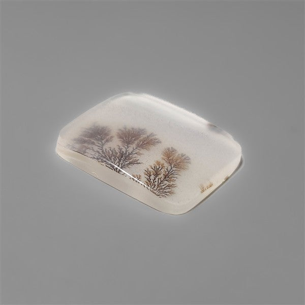 Scenic Agate Cabochon