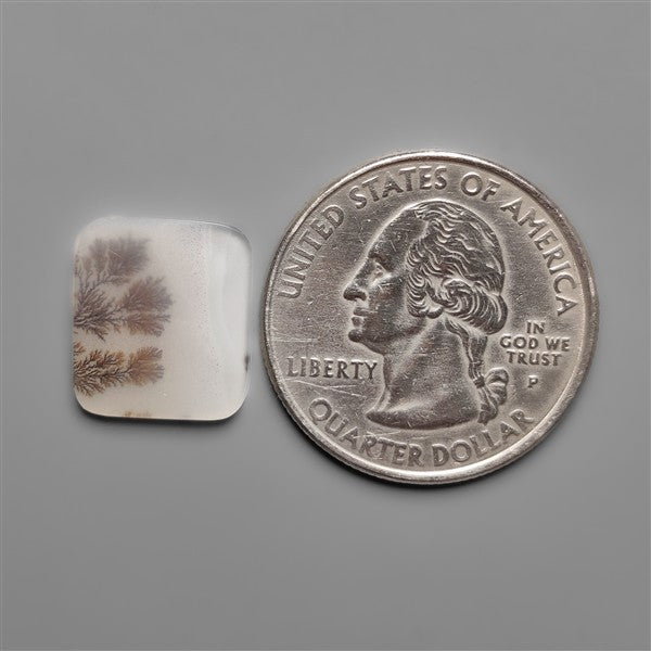 Scenic Agate Cabochon