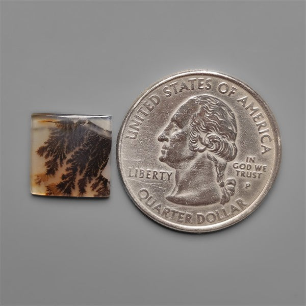 Scenic Agate Cabochon
