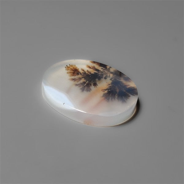 Scenic Agate Cabochon