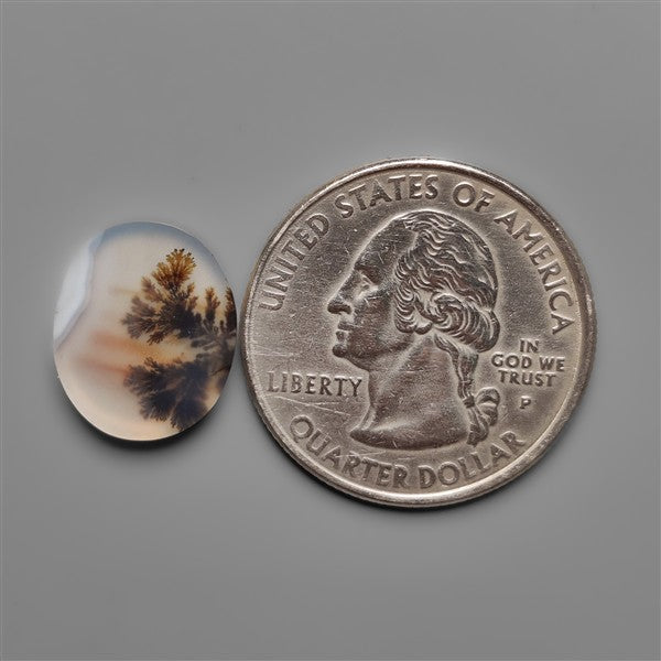 Scenic Agate Cabochon