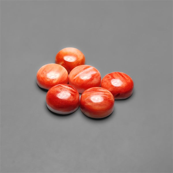 Spiny Oyster Shell Calibrated Cabochons Lot