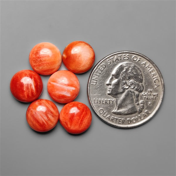 Spiny Oyster Shell Calibrated Cabochons Lot