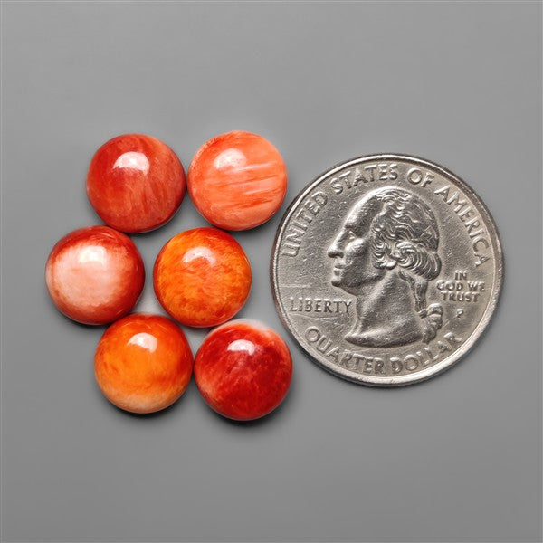 Spiny Oyster Shell Calibrated Cabochons Lot