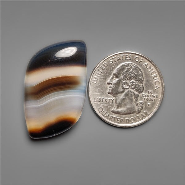 Black Banded Agate Cabochon