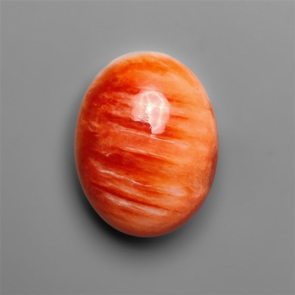 Spiny Oyster Shell