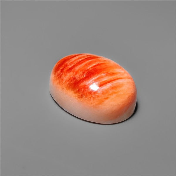 Spiny Oyster Shell Cabochon