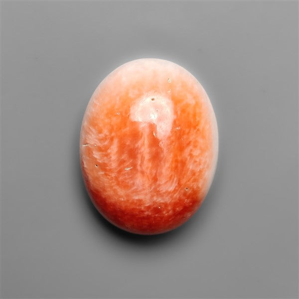 Spiny Oyster Shell