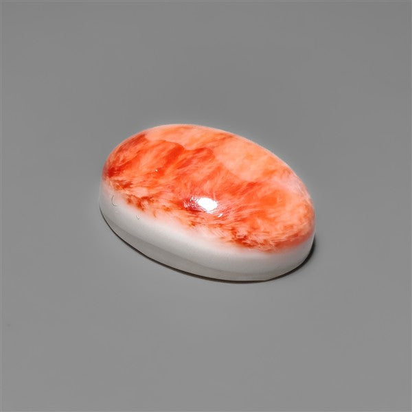 Spiny Oyster Shell Cabochon