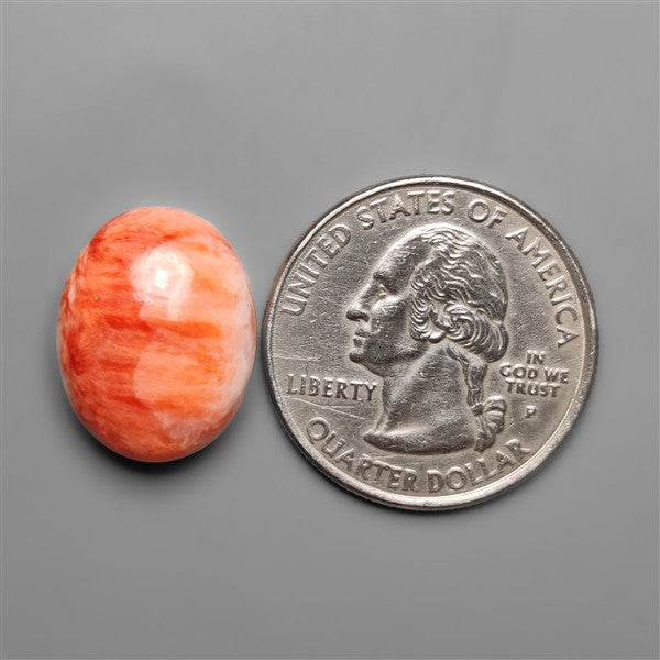 Spiny Oyster Shell Cabochon