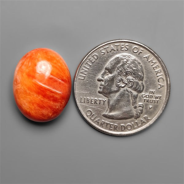 Spiny Oyster Shell Cabochon