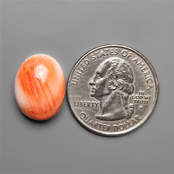 Spiny Oyster Shell Cabochon
