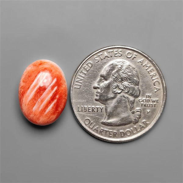 Spiny Oyster Shell Cabochon