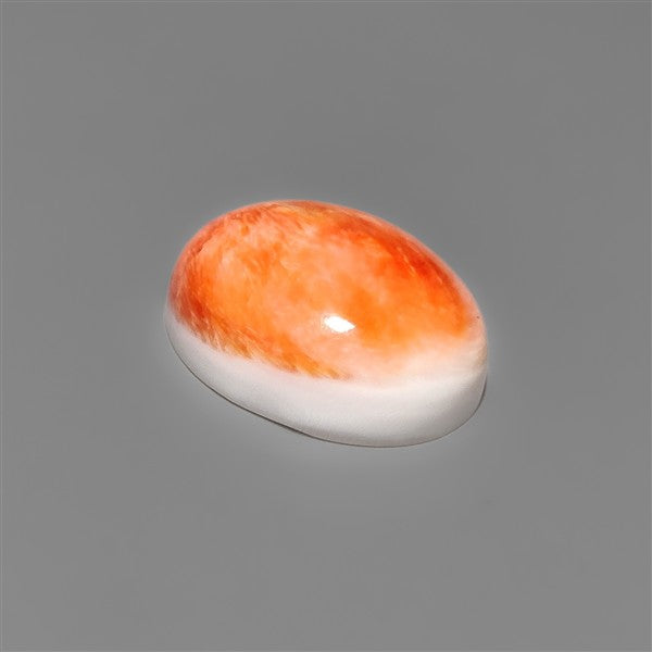 Spiny Oyster Shell Cabochon