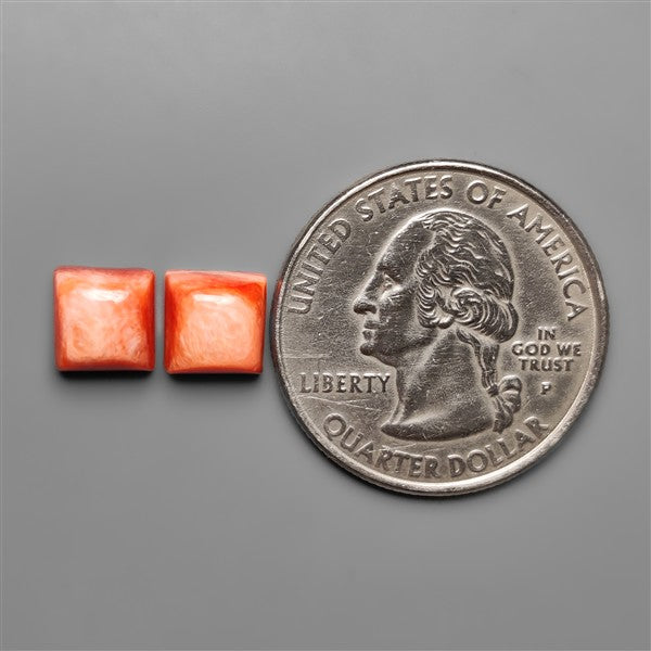 Spiny Oyster Shells Pair