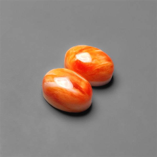 Spiny Oyster Shells Pair