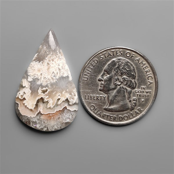 Orbicular Crazy Lace Tube Agate