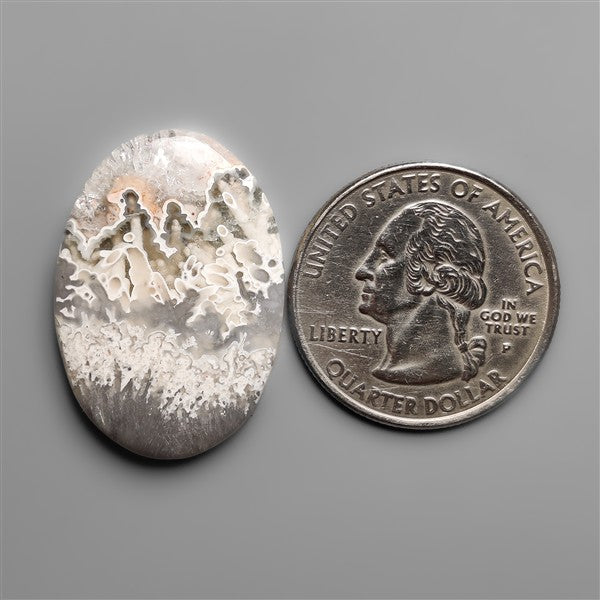 Orbicular Crazy Lace Tube Agate