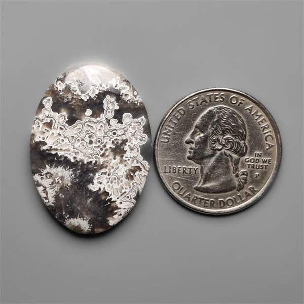 Orbicular Crazy Lace Tube Agate