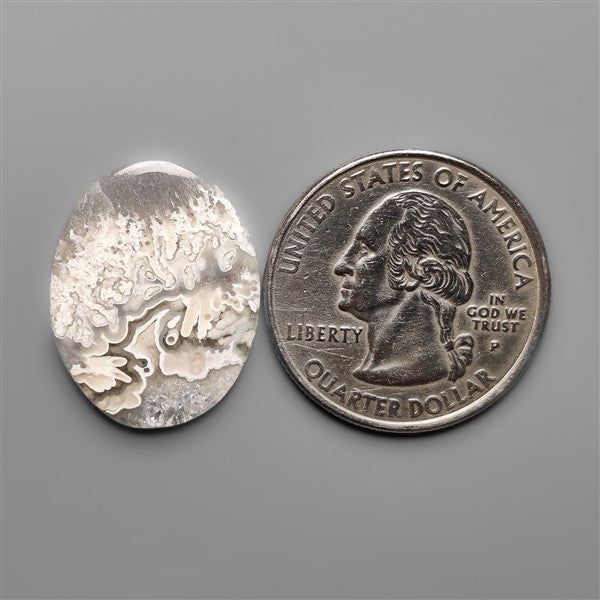 Orbicular Crazy Lace Tube Agate