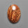 Biggs Jasper Selected Cabochon