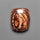 Biggs Jasper Selected Cabochon