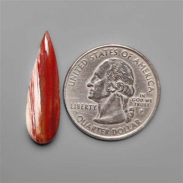 Howardite Opal Cabochon