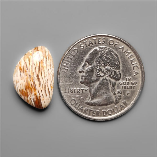 Howardite Opal Cabochon