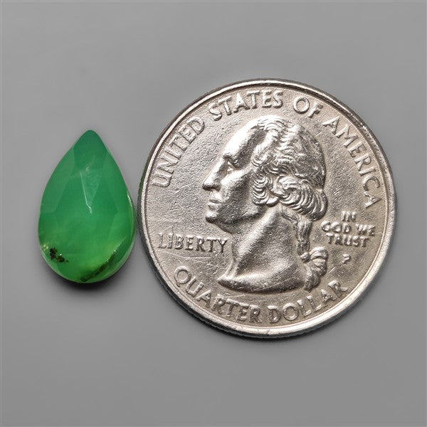 Rose Cut Gemmy Chrysoprase