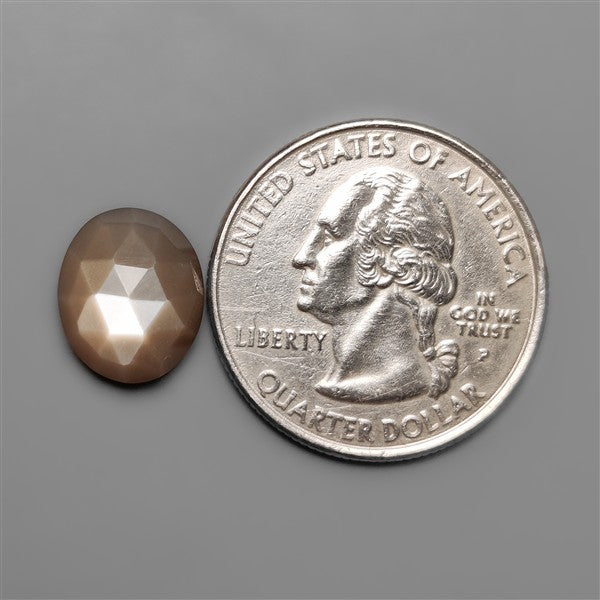 Rose Cut Grey Moonstone