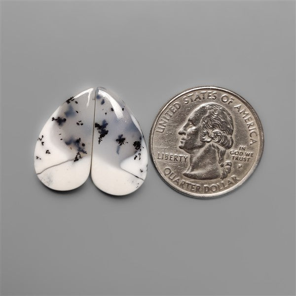 Dendritic Opals Pair