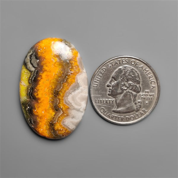 Bumble Bee Jasper Cabochon