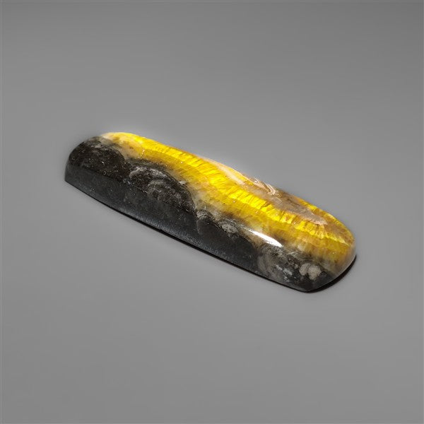 Bumble Bee Jasper Cabochon