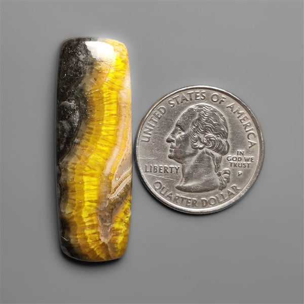 Bumble Bee Jasper Cabochon