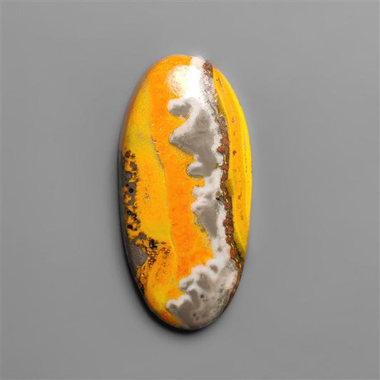 Bumble Bee Jasper Cabochon