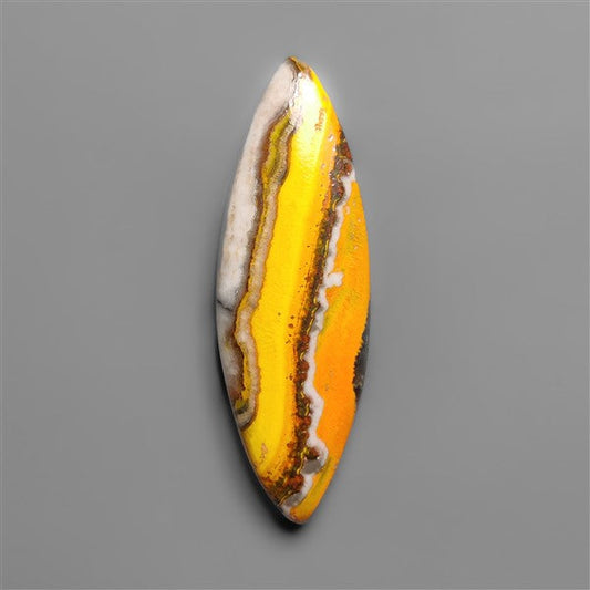 Bumble Bee Jasper Cabochon