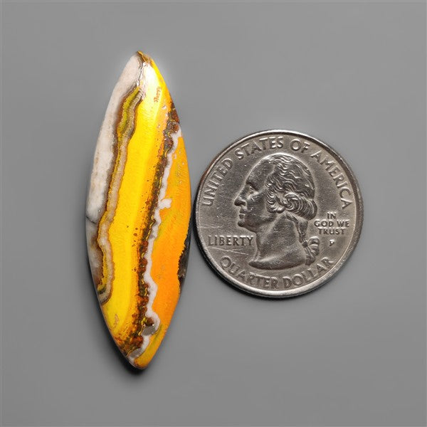 Bumble Bee Jasper Cabochon