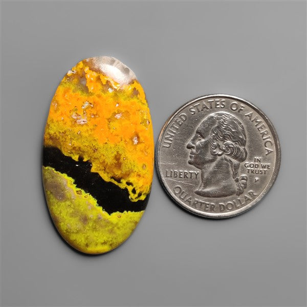 Bumble Bee Jasper Cabochon