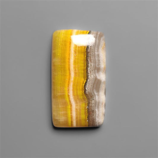 Bumble Bee Jasper Cabochon