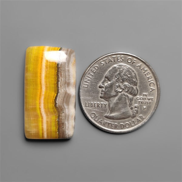 Bumble Bee Jasper Cabochon