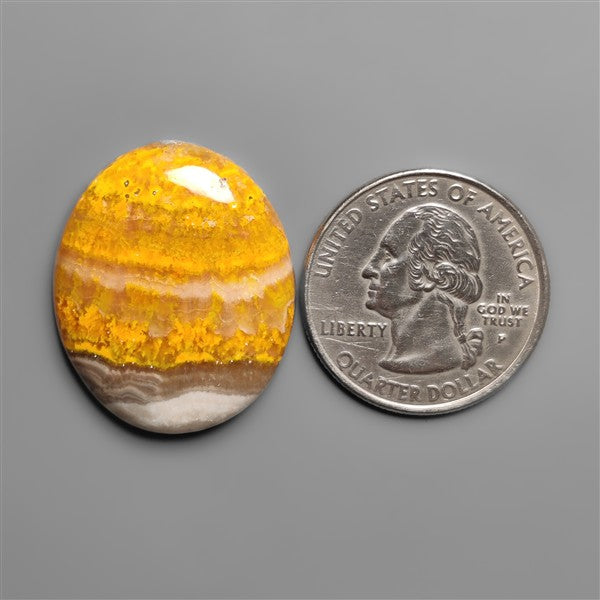 Bumble Bee Jasper Cabochon