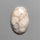 Fossil Coral Cabochon