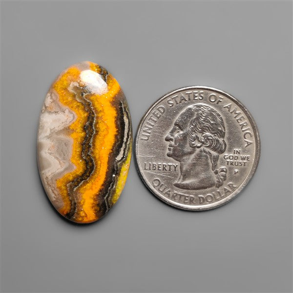 Bumble Bee Jasper Cabochon