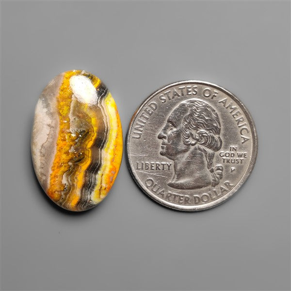 Bumble Bee Jasper Cabochon