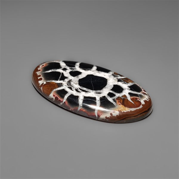Black Septarian Fossil Cabochon
