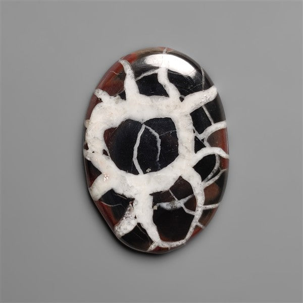 Black Septarian Fossil Cabochon