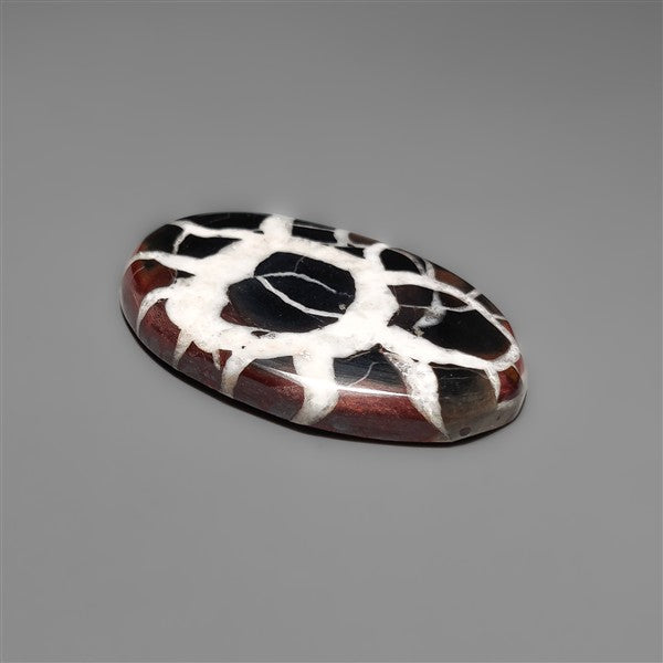 Black Septarian Fossil Cabochon
