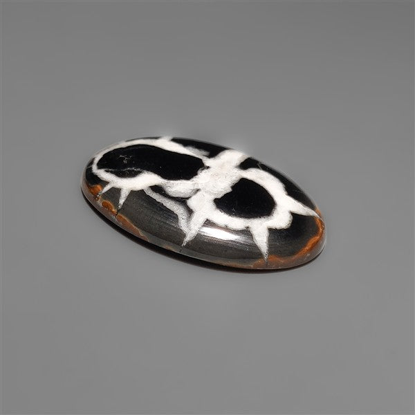 Black Septarian Fossil Cabochon