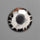 Black Septarian Fossil Cabochon