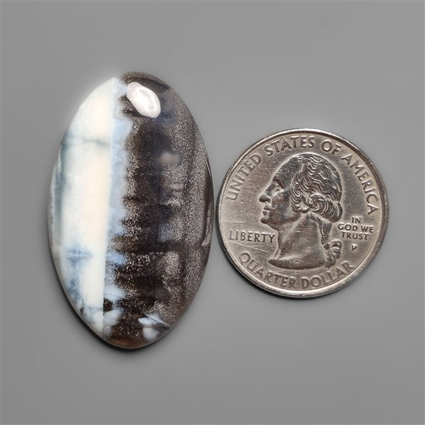 Owyhee Blue Opal Cabochon Bicolor